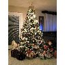 �rbol de Navidad de Stiliana Dimitrova & Peter Sokolowski (Gilbert, AZ, USA)