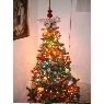 Jorge S�nchez Palacios's Christmas tree from Zaragoza, Espa�a