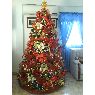 �rbol de Navidad de Yadeli Suarez de Paz (Maracaibo, Venezuela)