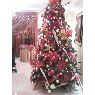 Kildare Lozada's Christmas tree from Bachaquero, Venezuela