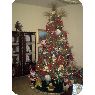 Doris Quintero's Christmas tree from Guarico, Venezuela