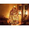 Miguel Herrera's Christmas tree from Beach Park, IL, USA