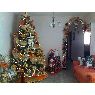 Blanca Veronica Gomez's Christmas tree from Barquisimeto, Edo Lara, Venezuela