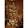 Jes�s Ramos's Christmas tree from C�diz, Espa�a