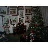 Adriana Ram�rez's Christmas tree from Medell�n, Colombia
