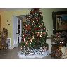 Weihnachtsbaum von Adelaida Medina (Miami, Florida, USA)
