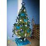 Jacinta Roldan's Christmas tree from Portoviejo, Ecuador