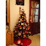 Puri's Christmas tree from Sevilla, Espa�a