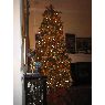 �rbol de Navidad de Ginny Christenson (Charleston, SC, USA)