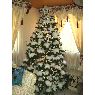 Gonzalo Martin Juarez Angulo's Christmas tree from Arequipa, Per�