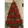 Carolina Giron's Christmas tree from Tegucigalpa, Honduras