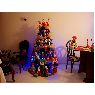 Imelda Pantoja Rosero's Christmas tree from Mocoa, Colombia