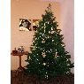 �rbol de Navidad de M� Carmen Mart�nez Luj�n (Valencia, Espa�a)