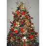 Weihnachtsbaum von Iraida Abreu (Valera, Venezuela)