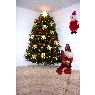 Angelica Garcia M's Christmas tree from Distrito Federal, Mexico