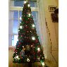 Leonor Jimenez's Christmas tree from Santiago, Chile