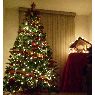 Gloria Valdez's Christmas tree from Coahuila, M�xico