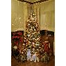 Javier Natera's Christmas tree from C�diz, Espa�a