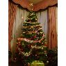 Familia Mu�oz P�rez 's Christmas tree from Concepci�n, Chile