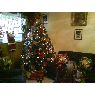 Weihnachtsbaum von Omaira Morales (Caracas, Venezuela)