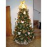 Emma Patricia Salcedo de Varela's Christmas tree from G�mez Palacio, Durango, M�xico
