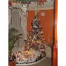 Dorys Madeleine Tolosa Mu�oz's Christmas tree from Bogot�, Colombia