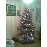 Rosa Castro's Christmas tree from Cua, Venezuela