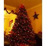 �rbol de Navidad de Benjamin Randles (Bristol, England, UK)