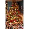Monique Lacroix's Christmas tree from Québec, Canada