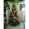 �rbol de Navidad de Delvalle S�ez (Barcelona, Venezuela)