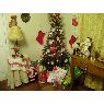 Ximena Contreras's Christmas tree from Santiago, Chile.