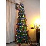 Cecilia Mu�oz's Christmas tree from Santiago, Chile