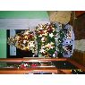 Weihnachtsbaum von Carlos (Logro�o, Espa�a)