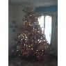 Silvia Suarez's Christmas tree from Lecheria, Venezuela
