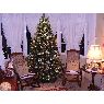 Weihnachtsbaum von David Ramos Mu�oz (El Puerto de Santa Mar�a, C�diz, Espa�a)