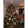 Weihnachtsbaum von Belkis (Caracas, Venezuela)