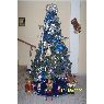 Elida Romero's Christmas tree from Barquisimeto, Venezuela