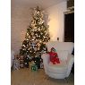 Miriam P�rez's Christmas tree from Guarenas, Venezuela