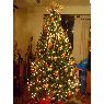 �rbol de Navidad de Ywanoska Loengri (Colinas del Neveri, Barcelona, Venezuela)