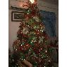 Yadeli Suarez de Paz's Christmas tree from Maracaibo, Zulia, Venezuela
