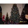 Weihnachtsbaum von Mauricio Casas Pe�a (Copiapo, Chile)