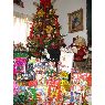 Weihnachtsbaum von Anyull Milena Rincon (Cucuta, Colombia)