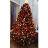 Brenda Torres's Christmas tree from M�xico DF, M�xico