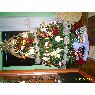 Carlos Fabian's Christmas tree from Logro�o