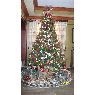 America Mercado de Montero's Christmas tree from Santo Domingo, Dominican Republic