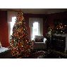 Weihnachtsbaum von Andrew King (Sarina, Ontario, Canada)