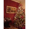 Weihnachtsbaum von Familia M�ndez Urp�n (Caracas, Venezuela)