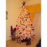 Ana Delia's Christmas tree from Tenerife, Espa�a