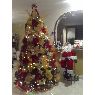 Laura Perez's Christmas tree from San Diego, Venezuela
