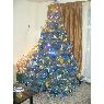 Carmen Michilena Alc�var's Christmas tree from Manab�, Ecuador